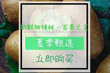 淘寶主圖是什么意思